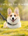 Canine Companion Dog Lead