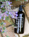 Dog Shampoo