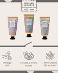 William Morris At Home Golden Lily Hand Cream Trio infographic